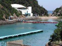 太地くじら浜公園 鯨・イルカプール 太地くじら浜公園 鯨・イルカプール