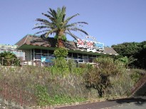 エビとカニの水族館 入場無料 エビとカニの水族館 入場無料