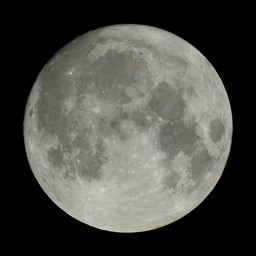 moon-2019-09-13-2-L-SQ.jpg